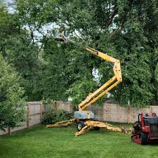 Mulching Services in Lake Placid, NY
