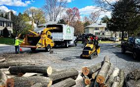 Best Hazardous Tree Removal  in Lake Placid, NY