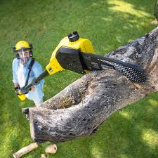 Best Lawn Maintenance Plans  in Lake Placid, NY