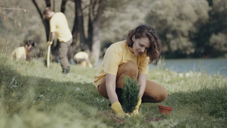 Best Lawn Drainage Solutions  in Lake Placid, NY