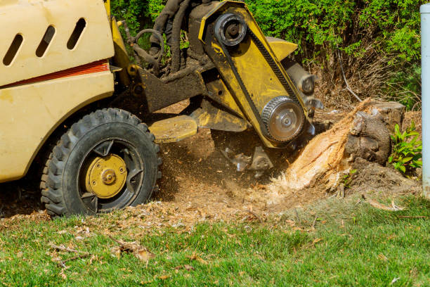 Best Artificial Turf Installation  in Lake Placid, NY